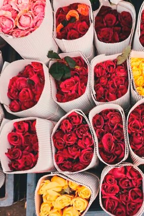 ArtRoses-Premium-bouquets