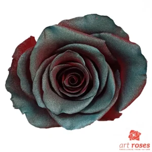 ArtRoses_tinted001