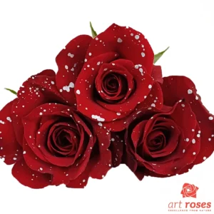 ArtRoses_tinted004