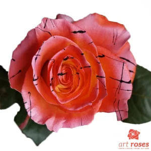 ArtRoses_tinted005