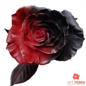 ArtRoses_tinted007