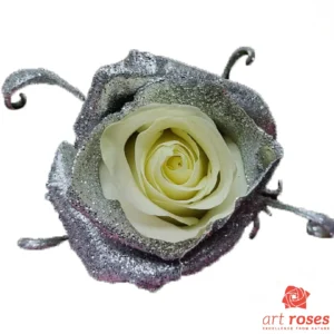 ArtRoses_tinted010