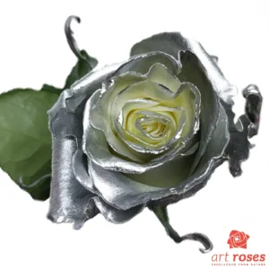 ArtRoses_tinted011