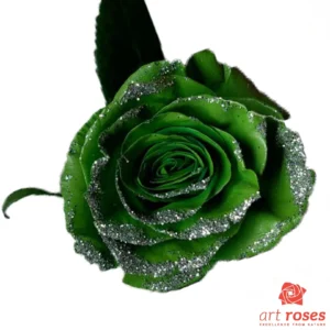 ArtRoses_tinted014