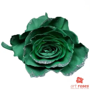 ArtRoses_tinted015
