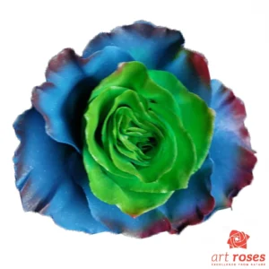 ArtRoses_tinted017