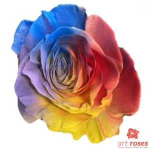ArtRoses_tinted019