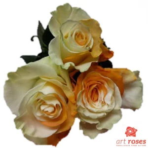 ArtRoses_tinted020
